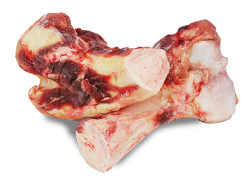 Knuckle Bone Virginia Bison Co